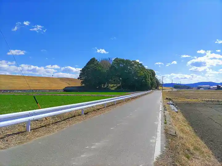 素盞嗚社の自然