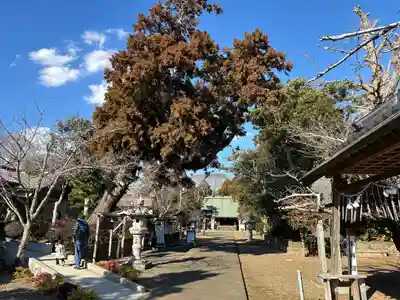 鎌数伊勢大神宮(千葉県)