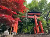 新倉富士浅間神社の鳥居