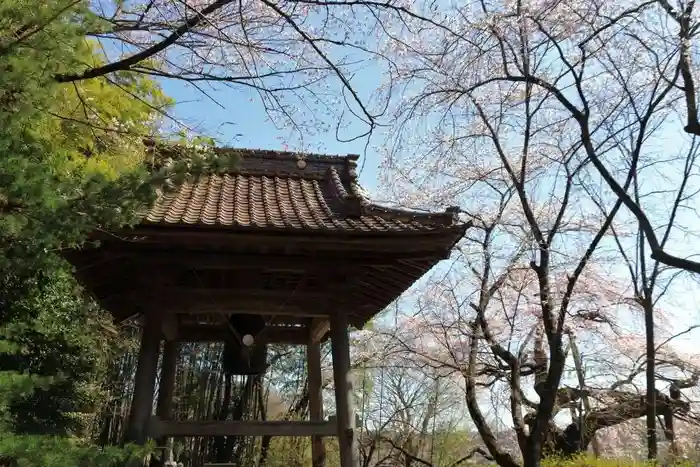 蓮華寺の建物その他