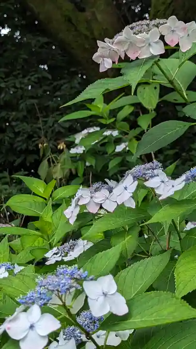 智積院(京都府)