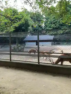 鹿島神宮(茨城県)