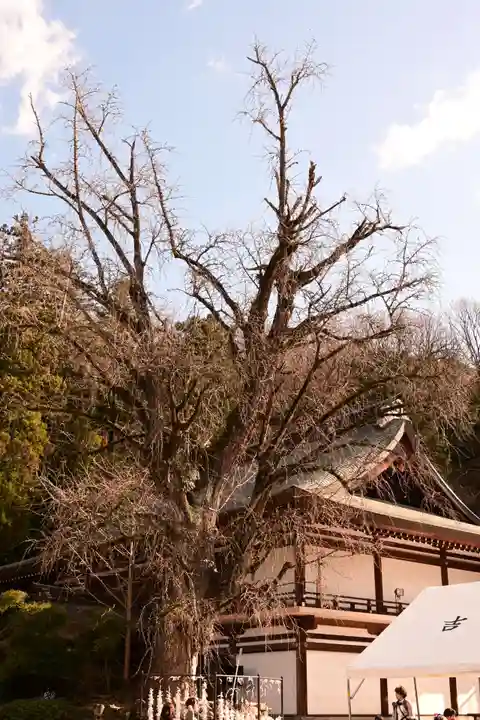 吉備津神社(岡山県)