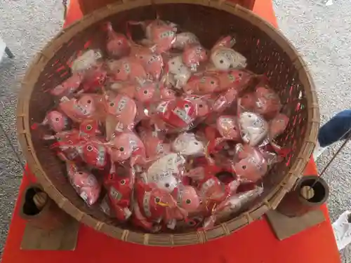 浅草神社のおみくじ