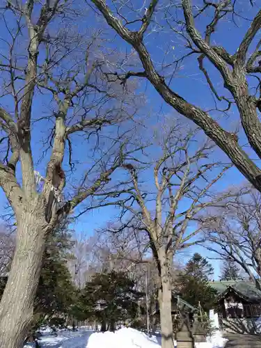 厚別神社の自然