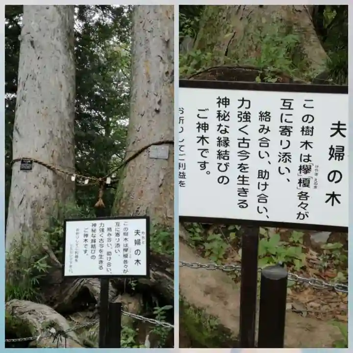 妻沼聖天山歓喜院の自然