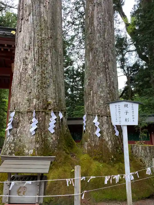 日光二荒山神社の自然
