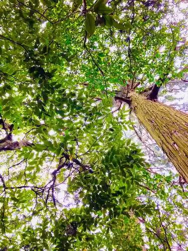 白瀧神社(茨城県)