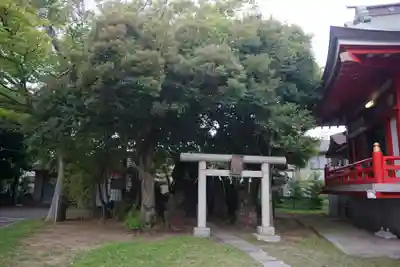 当代島稲荷神社の鳥居