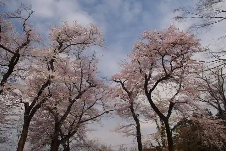 神炊館神社 ⁂奥州須賀川総鎮守⁂の自然