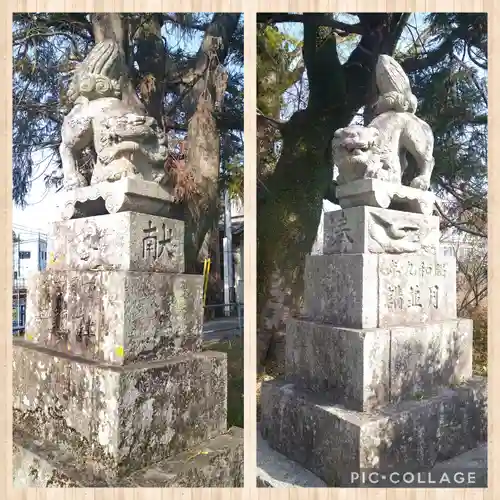 朝倉神社の狛犬