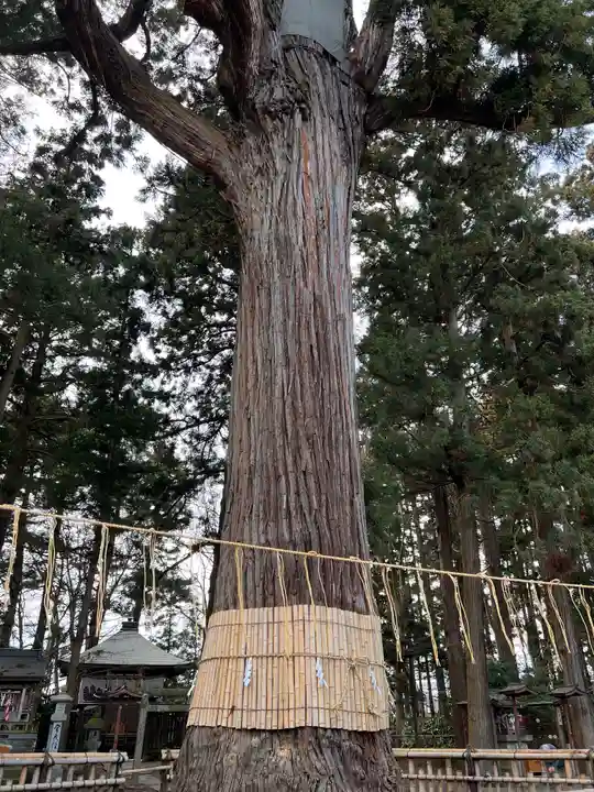 日高神社(岩手県)