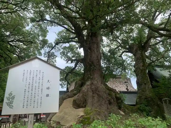 太宰府天満宮の庭園