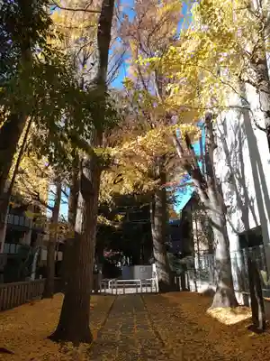 荻窪白山神社(東京都)