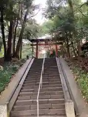 氷川女體神社の鳥居