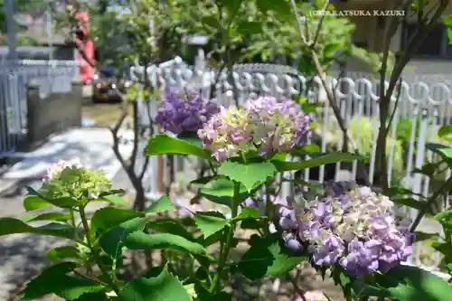 浮島稲荷神社(埼玉県)