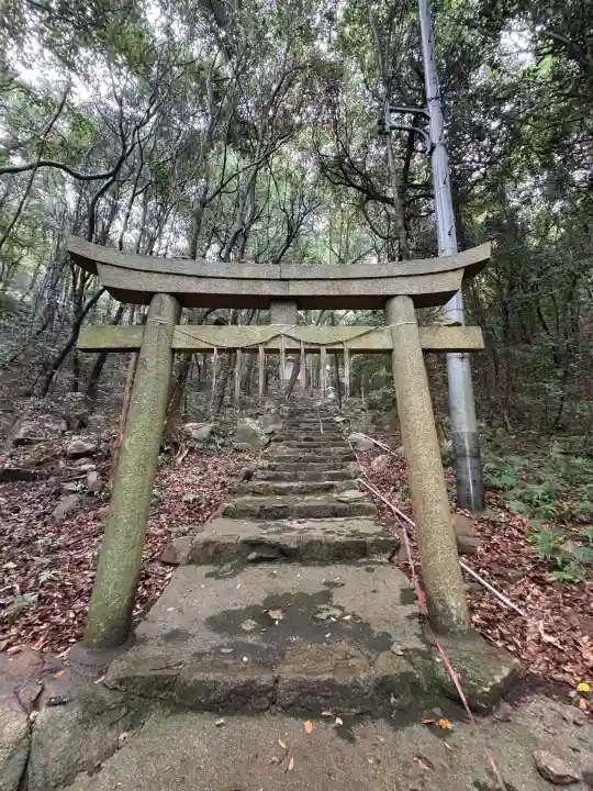 大歳神社の鳥居