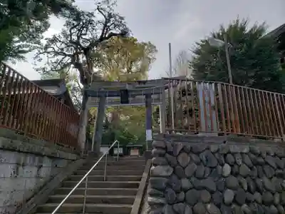 上高田氷川神社の鳥居