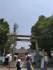 浅草神社の鳥居