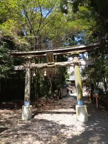 柏木神社の鳥居