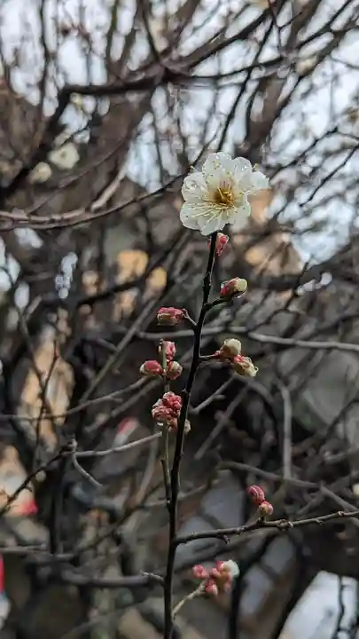 水火天満宮(京都府)
