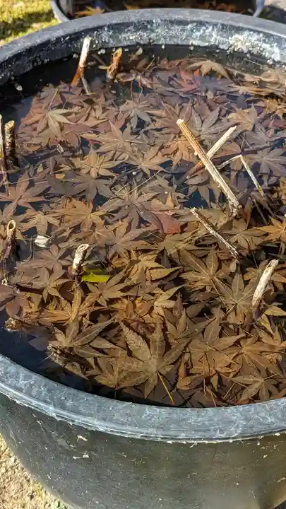 勝林寺(京都府)