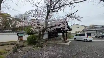 廬山寺（廬山天台講寺）(京都府)