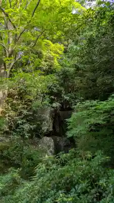 法金剛院(京都府)