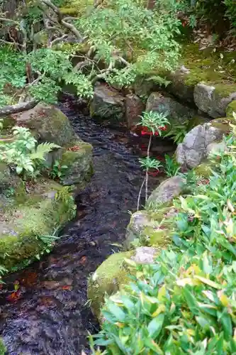 興福寺の庭園