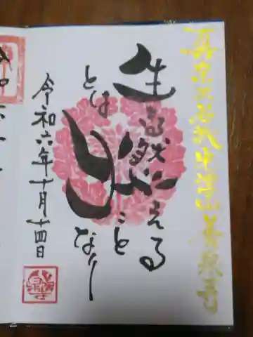 養泉寺の御朱印