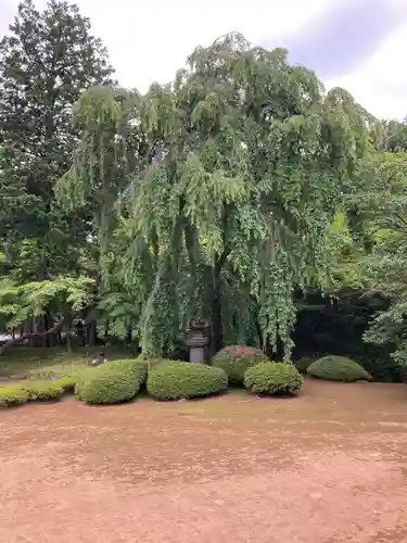 喜多院(埼玉県)
