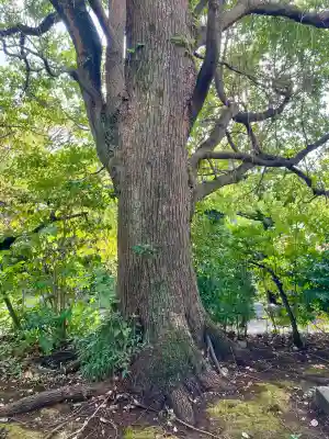 大聖院(神奈川県)