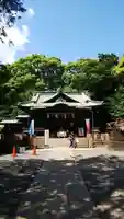 代々木八幡宮の本殿・本堂