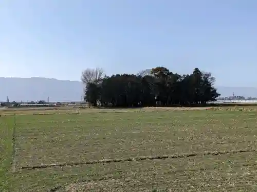 石神社の{uncategorized: "未分類", other: "その他", undefined: "問題あり", building: "その他建物", grave: "お墓", sacred_gate: "鳥居", guardian: "狛犬", statue: "像", buddha: "仏像", history: "歴史", nature: "自然", garden: "庭園", animal: "動物", pagoda: "塔", temizu: "手水舎", mountain_gate: "山門・神門", sanctuary: "本殿・本堂", subordinate: "末社・摂社", art: "芸術", scenery: "景色", jizo: "地蔵", ema: "絵馬", goshuin: "御朱印", omikuji: "おみくじ", items: "授与品その他", amulet: "お守り", goshuincho: "御朱印帳", eats: "食事", festival: "お祭り", votive_dance: "神楽", shichigosan: "七五三参", wedding: "結婚式", experience: "体験その他", initially: "初詣", around: "周辺", anti_infection: "感染症対策"}