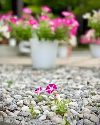 伊達神社(北海道)