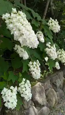 正法寺(京都府)