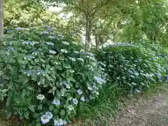 稲荷神社の自然