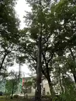 弦巻神社の自然