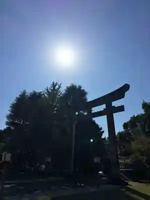橘神社の鳥居