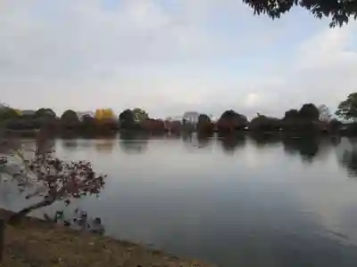 大覚寺(京都府)