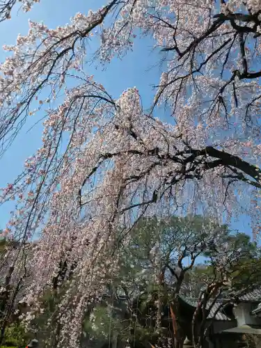 中院の{uncategorized: "未分類", other: "その他", undefined: "問題あり", building: "その他建物", grave: "お墓", sacred_gate: "鳥居", guardian: "狛犬", statue: "像", buddha: "仏像", history: "歴史", nature: "自然", garden: "庭園", animal: "動物", pagoda: "塔", temizu: "手水舎", mountain_gate: "山門・神門", sanctuary: "本殿・本堂", subordinate: "末社・摂社", art: "芸術", scenery: "景色", jizo: "地蔵", ema: "絵馬", goshuin: "御朱印", omikuji: "おみくじ", items: "授与品その他", amulet: "お守り", goshuincho: "御朱印帳", eats: "食事", festival: "お祭り", votive_dance: "神楽", shichigosan: "七五三参", wedding: "結婚式", experience: "体験その他", initially: "初詣", around: "周辺", anti_infection: "感染症対策"}