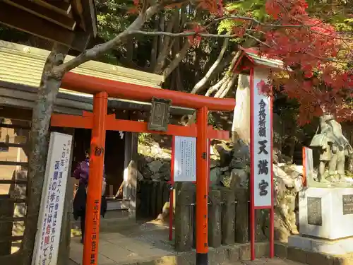 大山阿夫利神社の末社・摂社