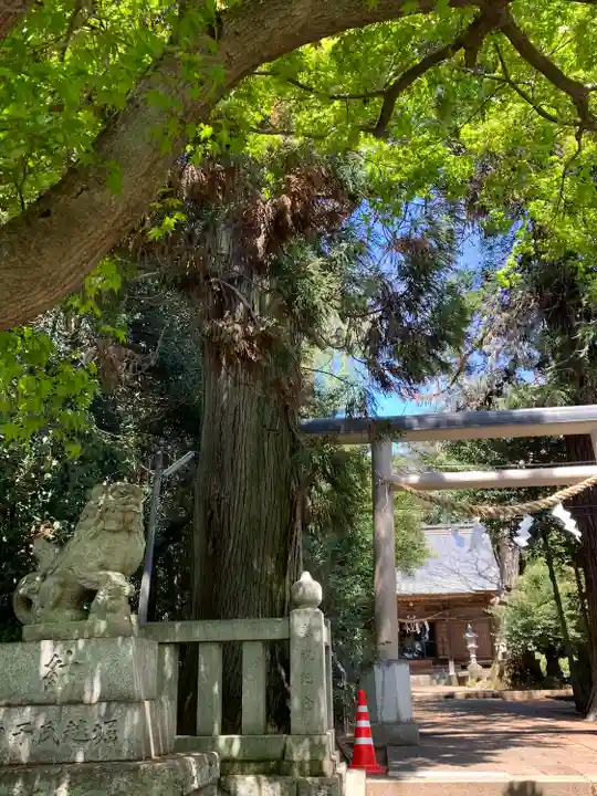 大胡神社(群馬県)