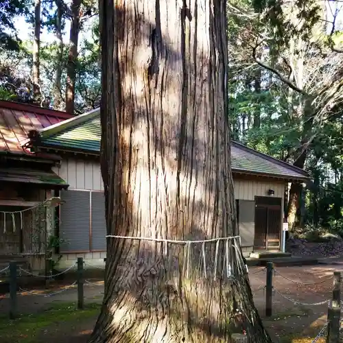 大生神社の自然