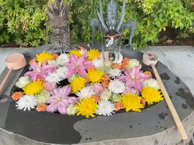 駒込妙義神社の御朱印