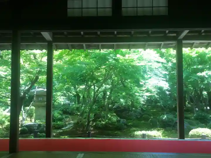 圓光寺(京都府)