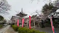 本法寺(京都府)