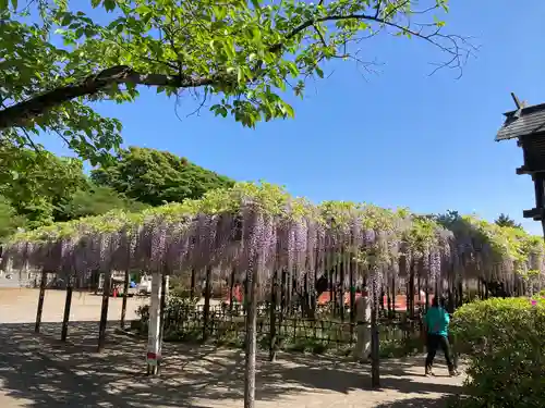 玉敷神社の庭園