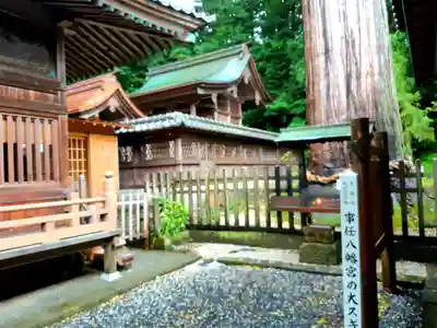 事任八幡宮の本殿・本堂