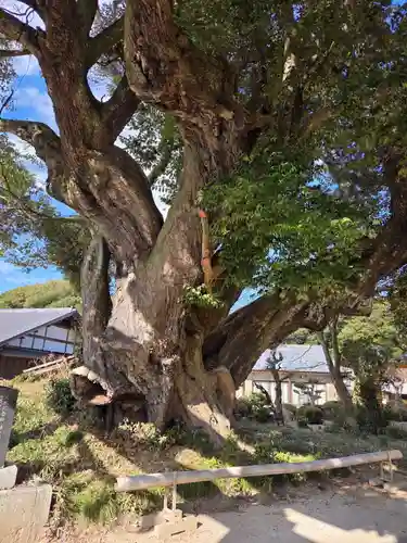 三嶋神社(茨城県)